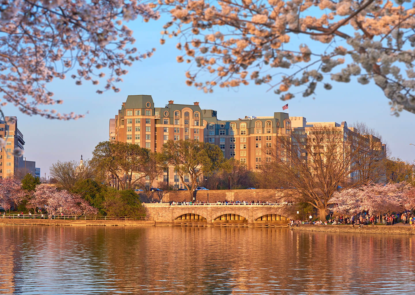 Salamander DC Exterior view across the river with cherry blossoms at sunset
