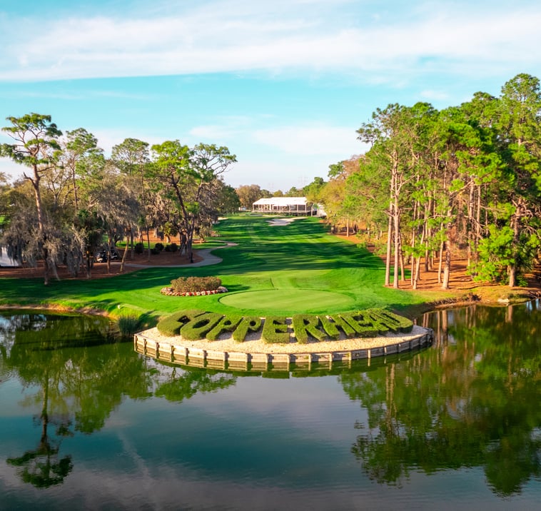 Innisbrook